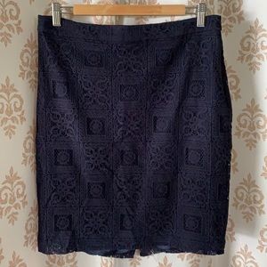 The Limited beautiful blue Lacey skirt 8